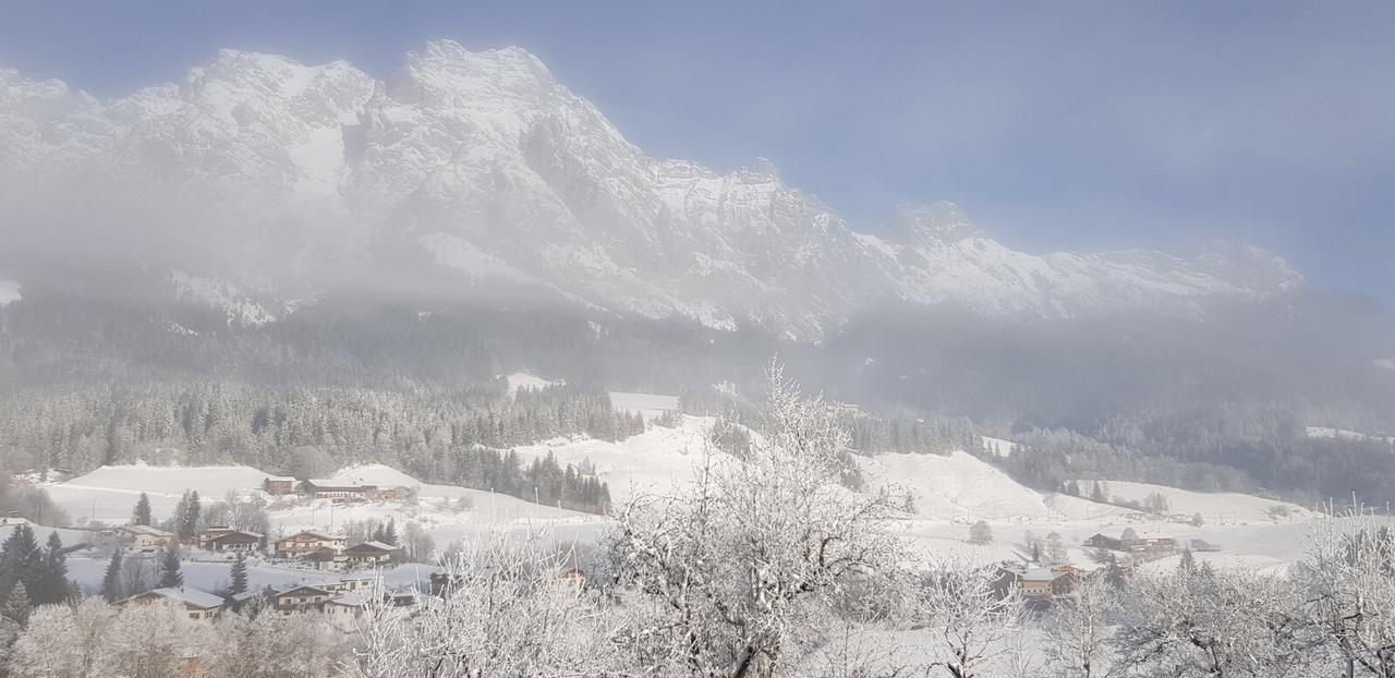 Pfindlhof Bed and Breakfast Leogang Exteriör bild